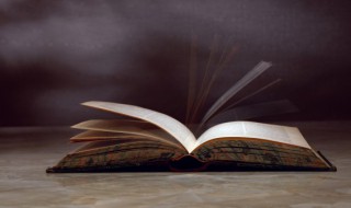 子非鱼是什么意思 子非鱼的意思