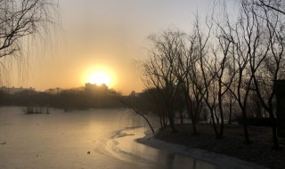 双数是什么意思 双数解释