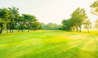 疾风知劲草什么意思 疾风知劲草的出处