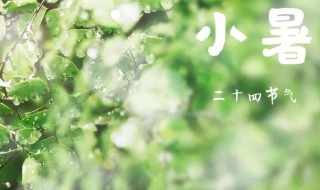 小暑节气怎么防止暑气 小暑节气防止暑气的方法