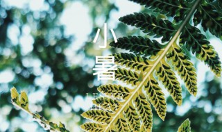 小暑前怎么养生 小暑前如何养生