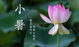 夏天小暑怎么保养 夏天小暑如何保养