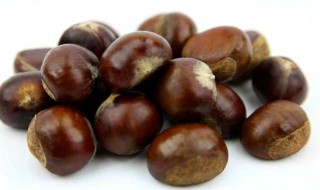 栗子怎样储存 栗子如何储存