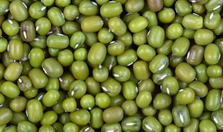 绿豆怎样储存 绿豆储存的方法