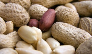 花生怎样储存 如何保存花生
