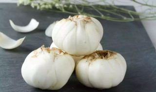 怎样储存百合 食用百合家常保存方法分享
