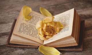 三点水和什么有关 三点水的字含义