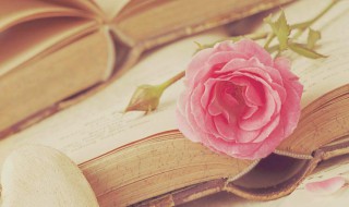 2021年安徽中考满分多少分 2021年安徽中考满分分数