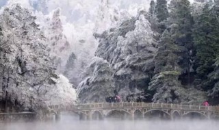 阿卡林省是什么意思 阿卡林省指的是什么