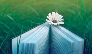 邪淫是什么意思 邪淫解释