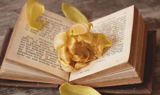 轻佻是什么意思 轻佻解释