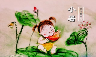 小暑节气应该怎么养生 小暑节气养生方法介绍