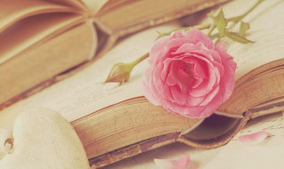 殊的意思 殊的解释