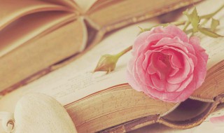 无私的意思 无私的解释