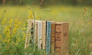 占空比什么意思 占空比解释