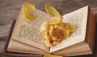 轴向是什么意思 轴向解释