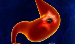 消化是什么意思 消化指的是什么