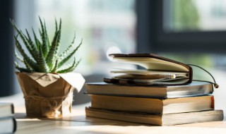 关于齐白石的资料 齐白石的简介