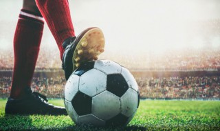 关于世界杯的资料 世界杯介绍