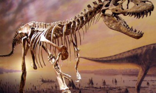 关于雷龙的资料 关于雷龙的内容