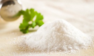 关于盐的资料 盐的资料简述