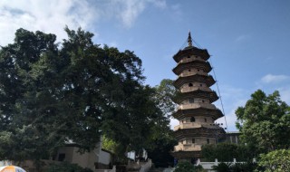 关于乌塔的资料 乌塔的介绍