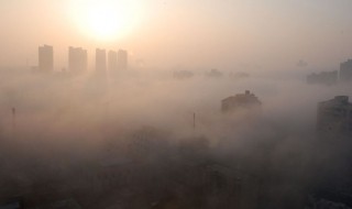 关于雾的资料 雾的相关资料