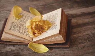 关于推广普通话的资料 关于推广普通话的资料介绍