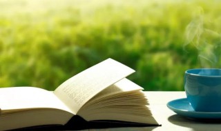 关于信的资料 关于信的资料介绍