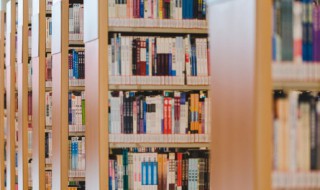 关于爱国的人物资料 爱国的人物资料简介