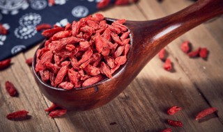 关于枸杞的资料 枸杞的介绍