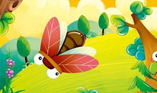 关于螳螂的资料 关于昆虫螳螂的介绍