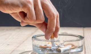 关于烟的资料 关于烟的介绍