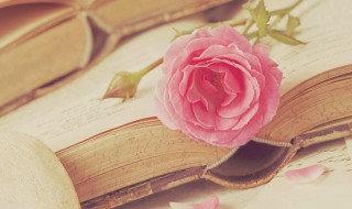 关于母亲的资料 关于母亲的资料介绍