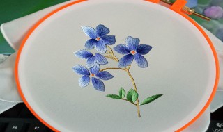 关于刺绣的资料 刺绣的介绍