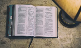 关于和谐的资料 关于和谐的资料介绍