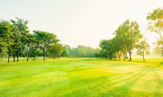 关于乡村的诗句 乡村诗句有哪些