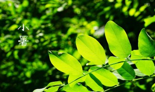 软暑和小暑怎么区别 大暑和小暑如何区别