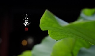 大暑时节该怎么吃 大暑时节吃什么