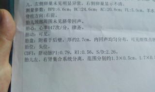 肾盂分离和性别有关吗 肾盂分离与性别的关系