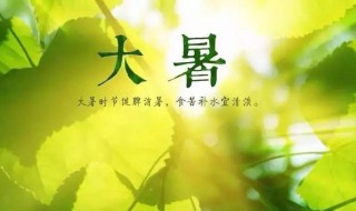 大暑来了怎么避暑 大暑节气我们如何避暑