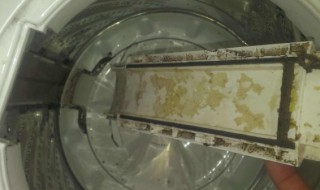 洗衣机脱水桶不转是什么原因 洗衣机脱水桶不转是什么原因