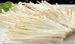 金针菇怎样储存 金针菇储存方法
