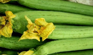 嫩丝瓜怎样晒干好储存 嫩丝瓜晒干好储存方法