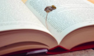 衬托是什么意思 衬托解释