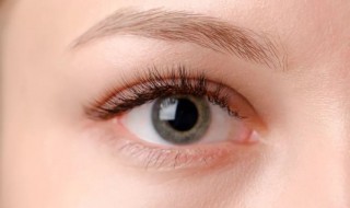 眼睛螨虫的治疗方法 关于眼睛螨虫的治疗方法