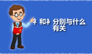 礻和衤分别与什么有关 礻和衤的本字是什么