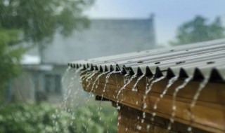 雨的别称和雅称 雨的别称和雅称是什么