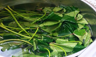 红芋叶做法大全家常 有哪些家常做法