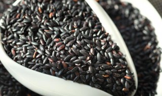 黑米长虫还能吃吗 黑米长虫还能不能吃